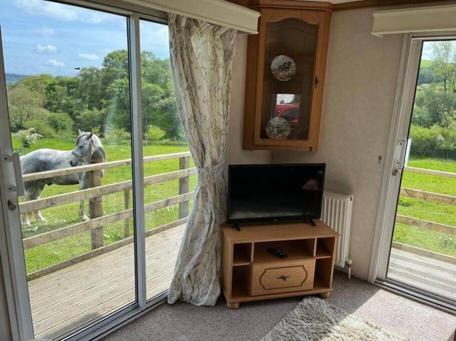 Farm Stay Caravan On Working Farm Dacre  ภายนอก รูปภาพ